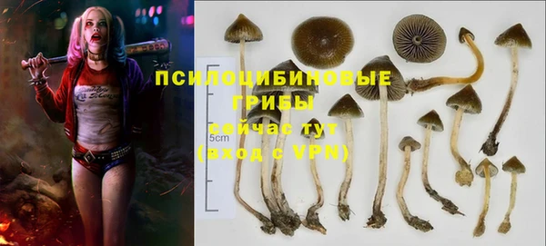 a pvp Сафоново