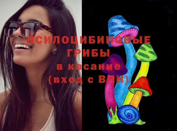 стафф Баксан