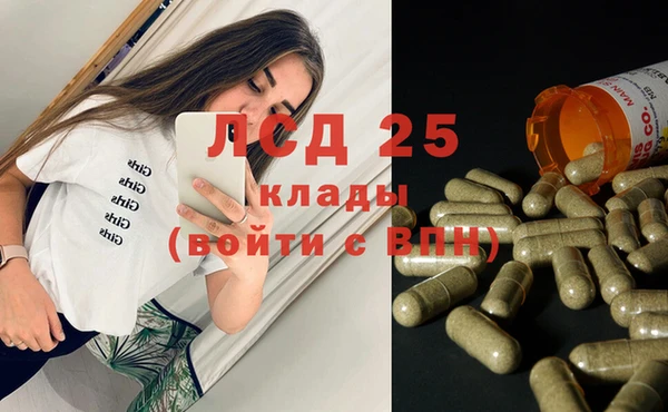 ГАЛЛЮЦИНОГЕННЫЕ ГРИБЫ Балахна