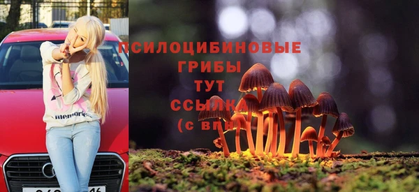 дживик Сафоново