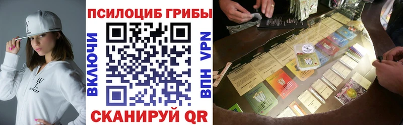 Псилоцибиновые грибы прущие грибы купить цена Гусев
