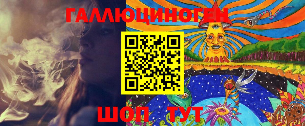 Гусев  где купить наркоту  Псилоцибиновые грибы GOLDEN TEACHER  Вход с VPN  Галлюциногенные грибы Psilocybe 